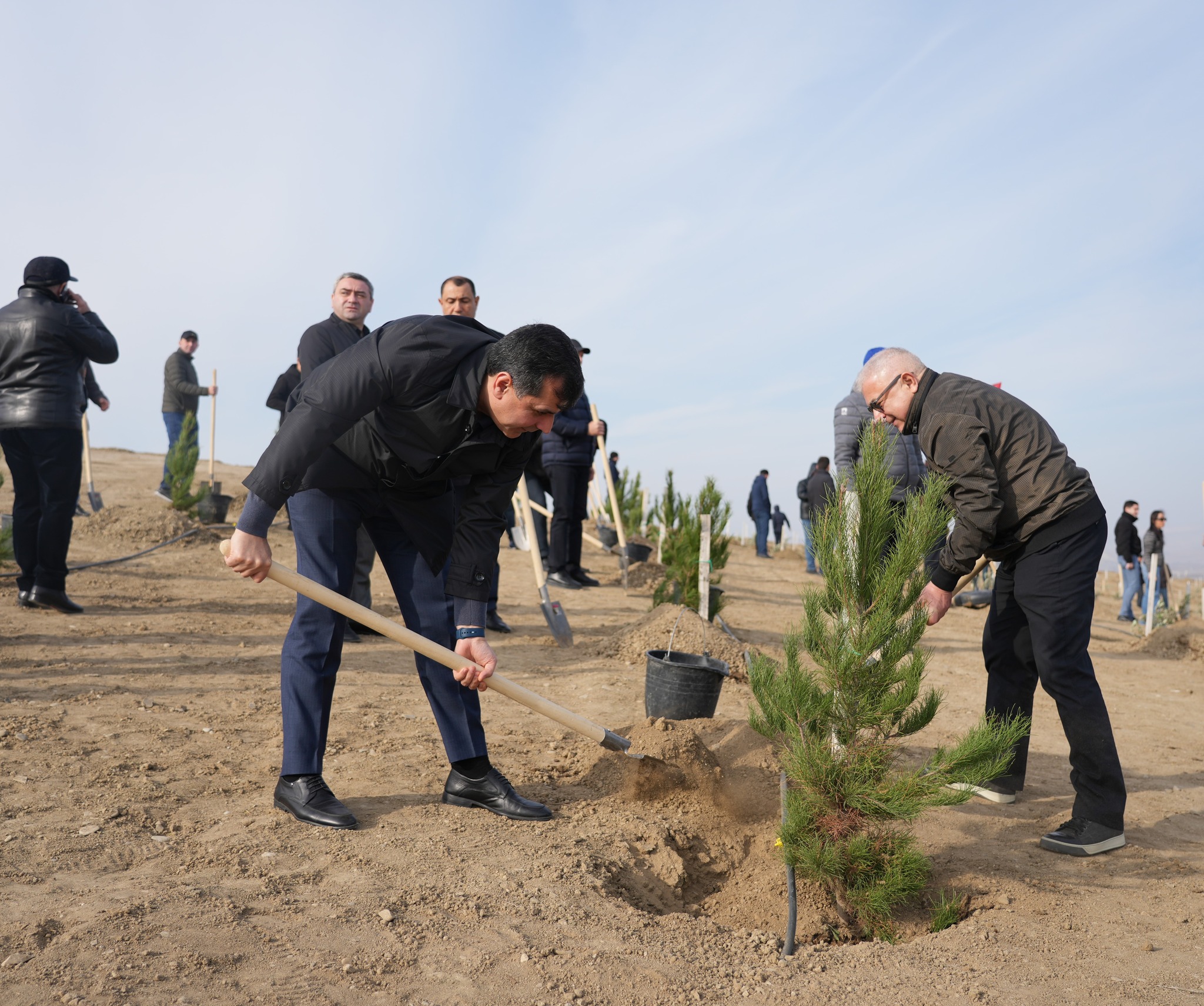 “Yaşıl dünya naminə həmrəylik ili” çərçivəsində Ədliyyə Nazirliyi ağacəkmə aksiyası keçirib