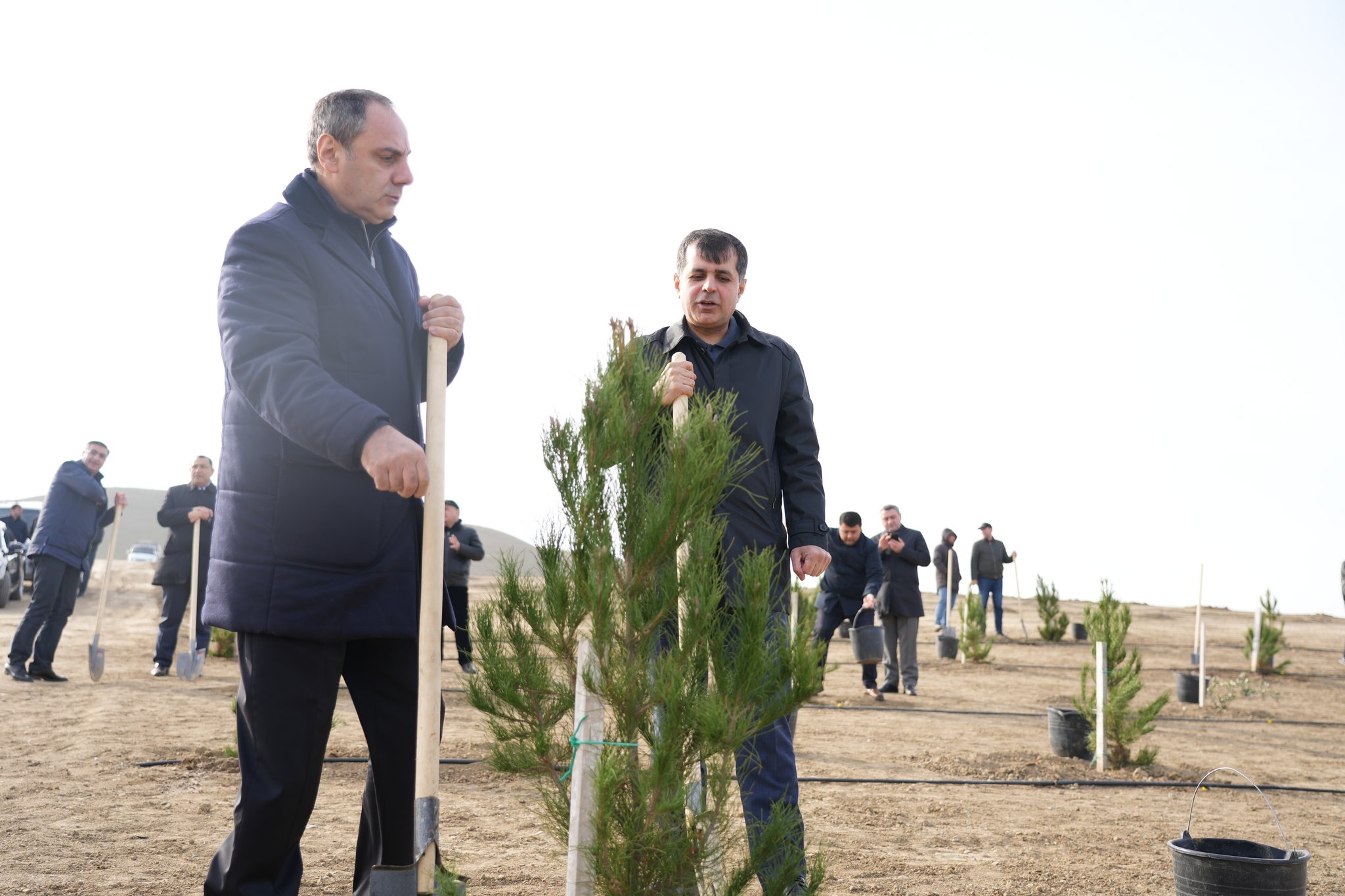 “Yaşıl dünya naminə həmrəylik ili” çərçivəsində Ədliyyə Nazirliyi ağacəkmə aksiyası keçirib
