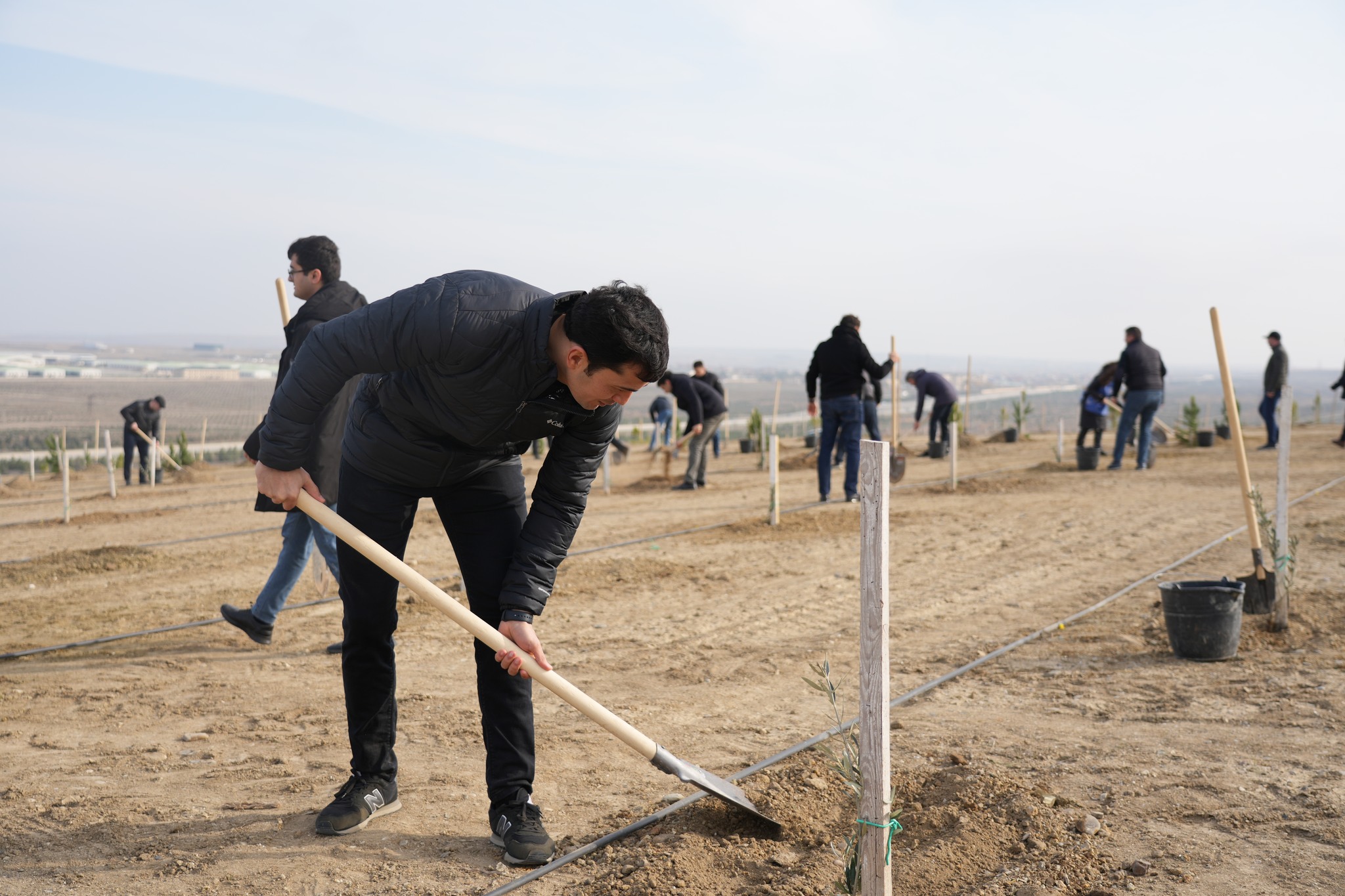 “Yaşıl dünya naminə həmrəylik ili” çərçivəsində Ədliyyə Nazirliyi ağacəkmə aksiyası keçirib
