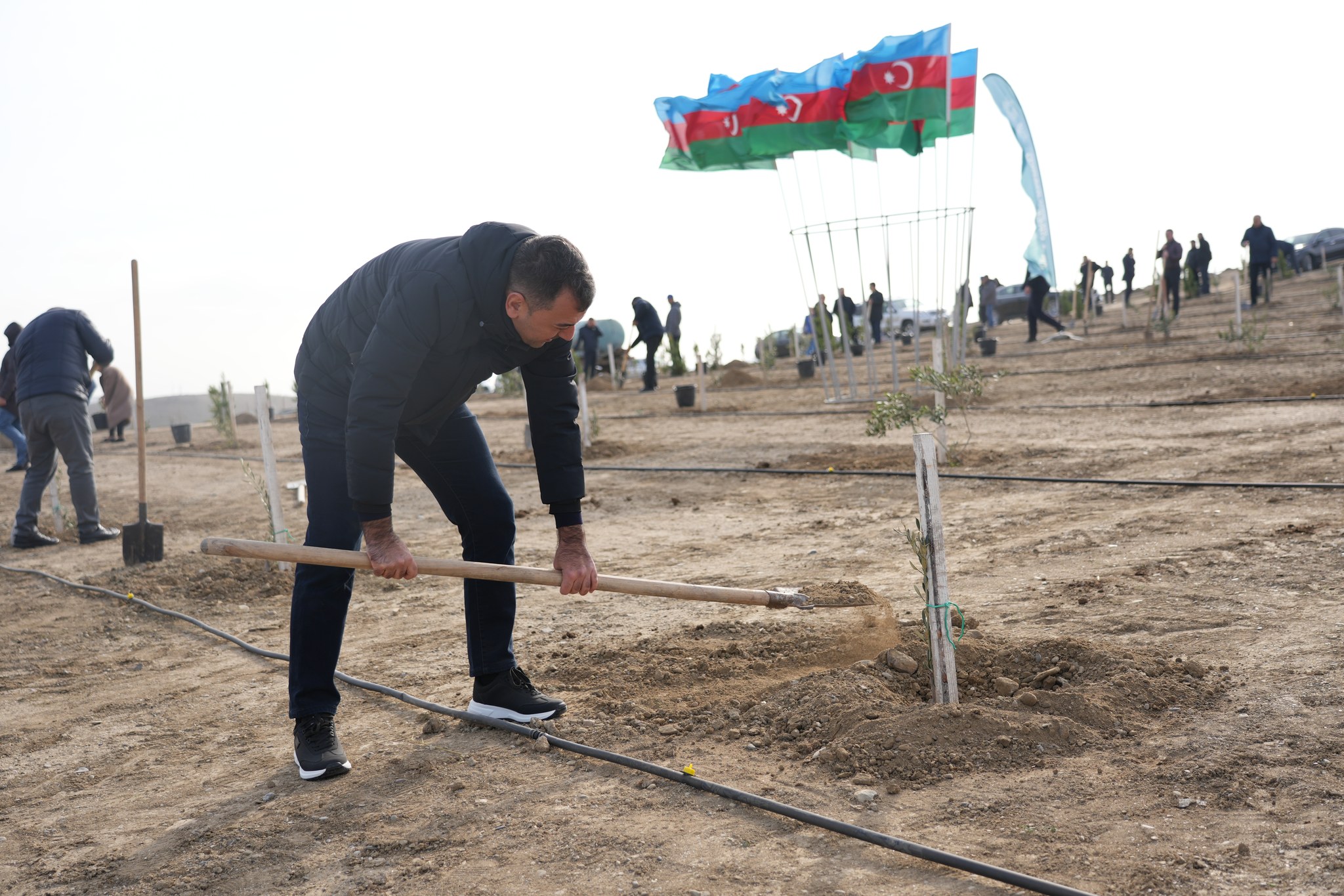 “Yaşıl dünya naminə həmrəylik ili” çərçivəsində Ədliyyə Nazirliyi ağacəkmə aksiyası keçirib