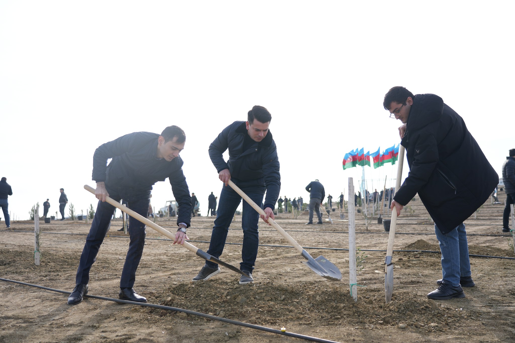“Yaşıl dünya naminə həmrəylik ili” çərçivəsində Ədliyyə Nazirliyi ağacəkmə aksiyası keçirib