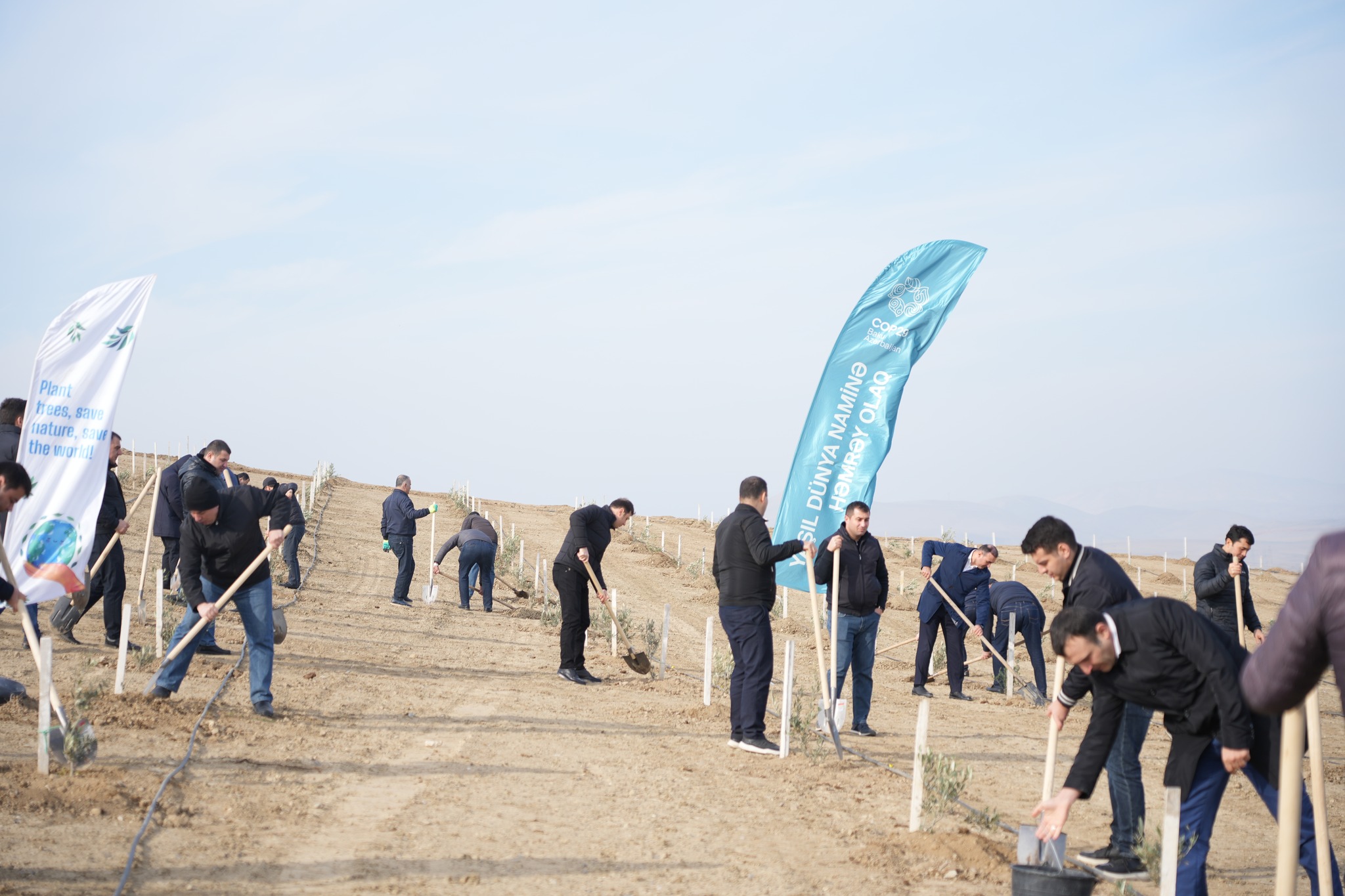 “Yaşıl dünya naminə həmrəylik ili” çərçivəsində Ədliyyə Nazirliyi ağacəkmə aksiyası keçirib