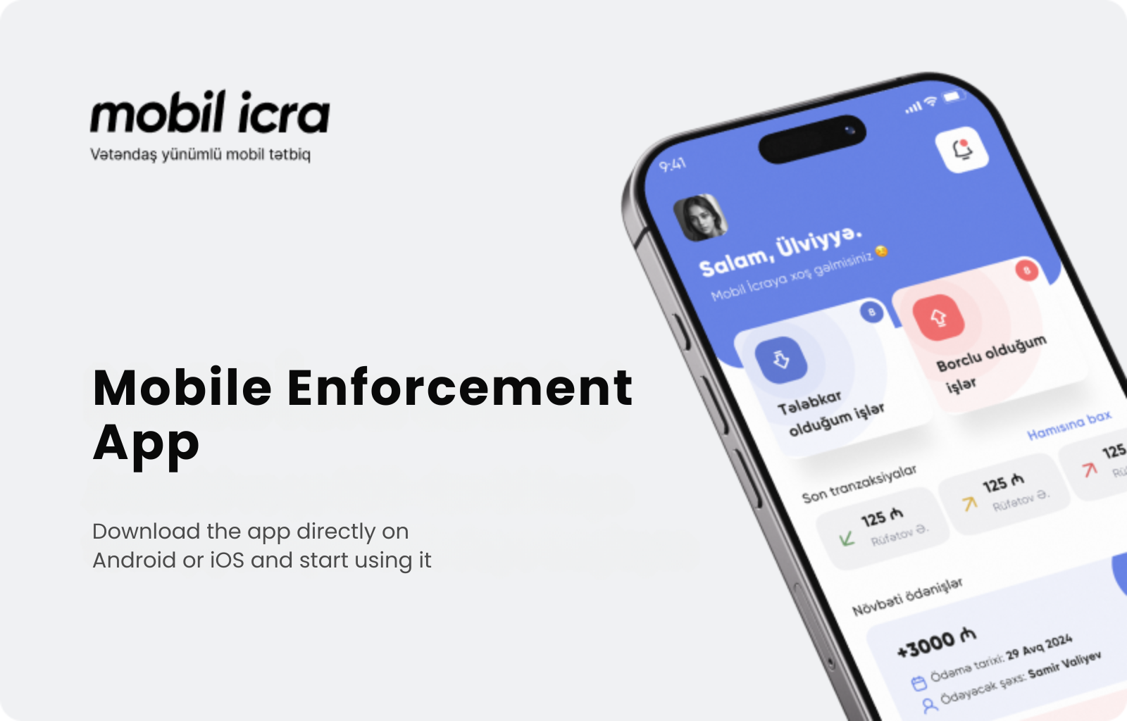 “Mobile Enforcement” application 