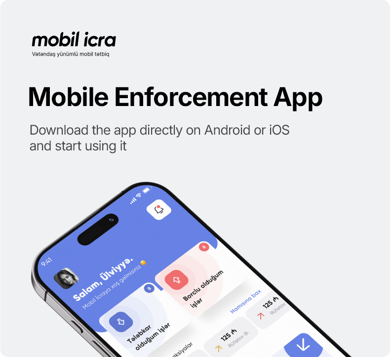 “Mobile Enforcement” application 